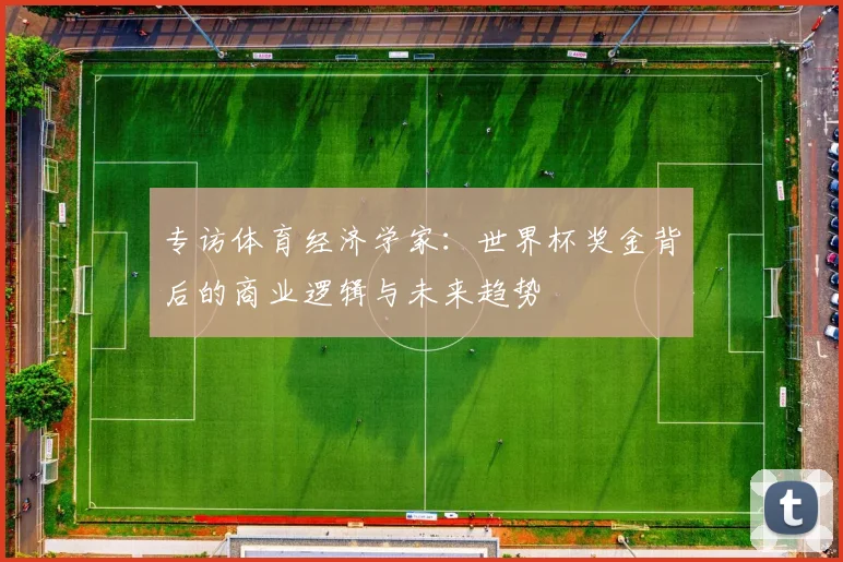 专访体育经济学家:世界杯奖金背后的商业逻辑与未来趋势