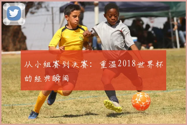 从小组赛到决赛：重温2018世界杯的经典瞬间