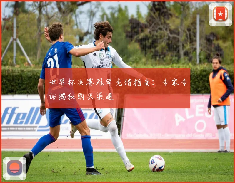 世界杯决赛冠军竞猜指南:专家专访揭秘购买渠道