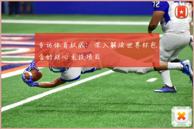 专访体育权威:深入解读世界杯包含的核心竞技项目