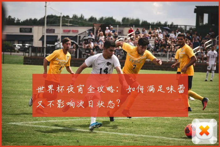 世界杯夜宵全攻略：如何满足味蕾又不影响次日状态？