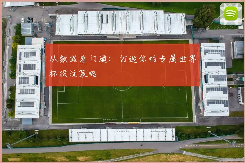 从数据看门道:打造你的专属世界杯投注策略