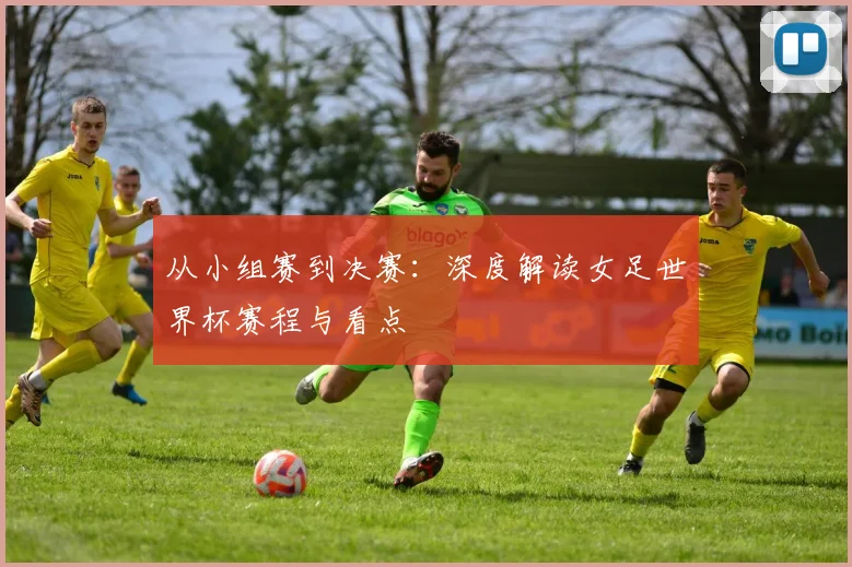 从小组赛到决赛：深度解读女足世界杯赛程与看点
